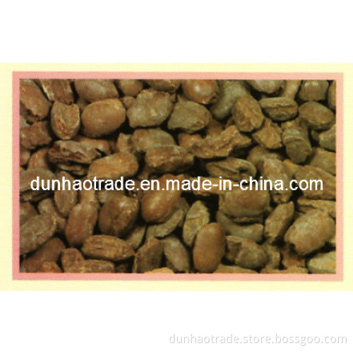 Dead Burned Magnesite/dBm/Dead Burnt Magnesia (DH-0005)